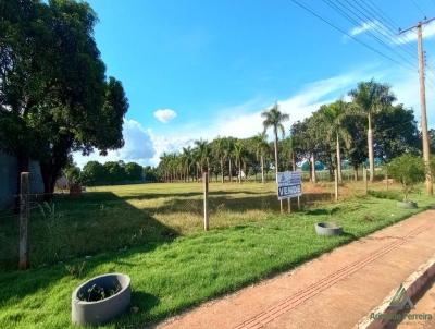 Lote para Venda, em , bairro JARDIM PRIMAVERA
