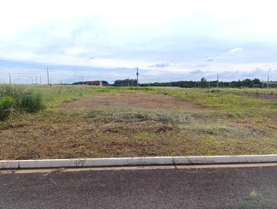 Terreno para Venda, em So Gabriel do Oeste, bairro LOTEAMENTO ROSADA