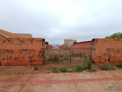 Terreno para Venda, em So Gabriel do Oeste, bairro PRIMO MAFFISSONI