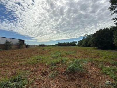 Terreno para Venda, em S�o Gabriel do Oeste, bairro JARDIM PRIMAVERA